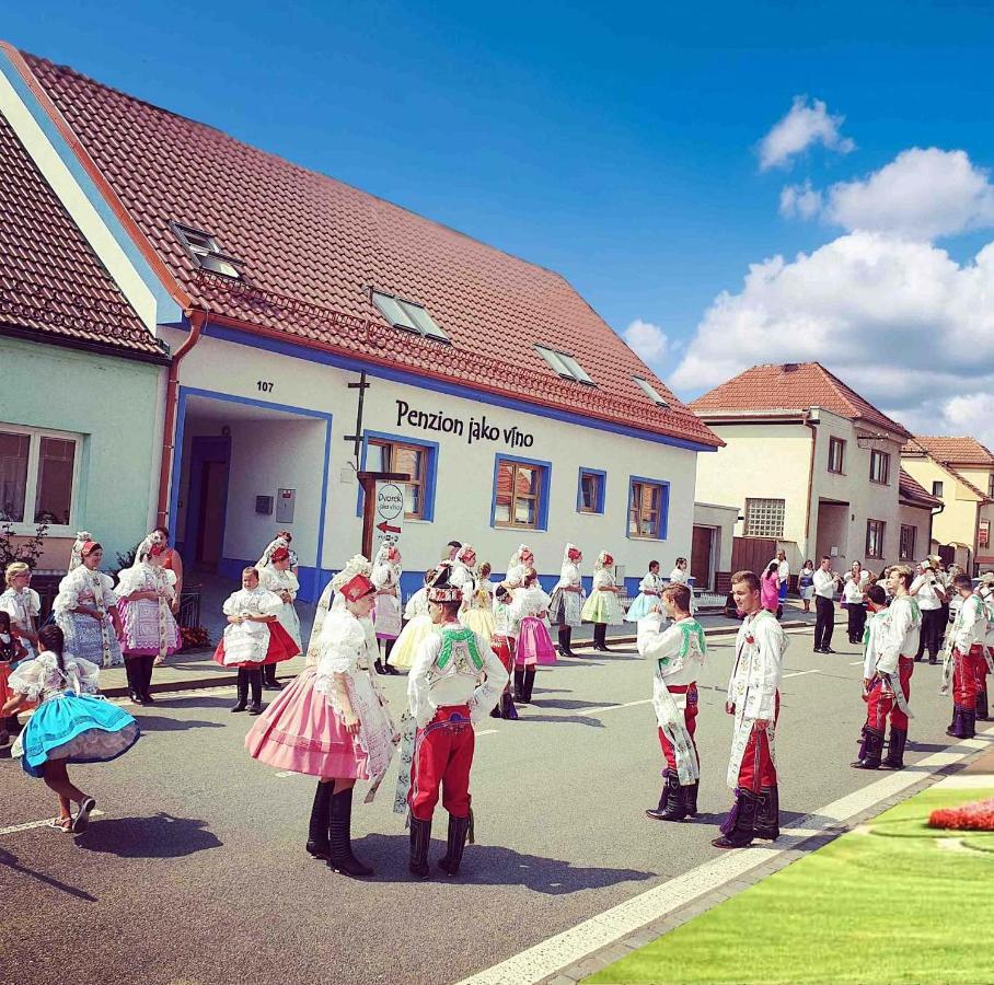 Penzion Jako Vino Bulhary Bagian luar foto